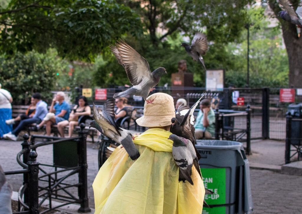 Woman feeding pigeons in Union Square NYC