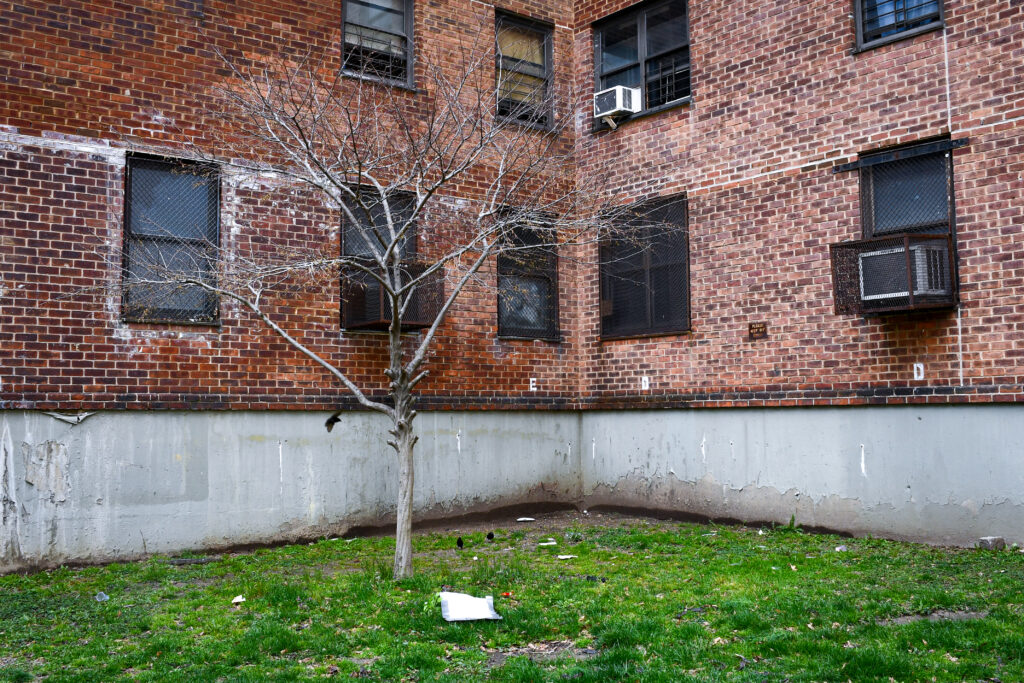 Pelham Parkway Houses NYCHA community in the Bronx 